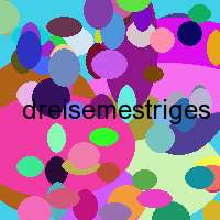 dreisemestriges master studium