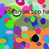 aquarium tipp haltung fisch